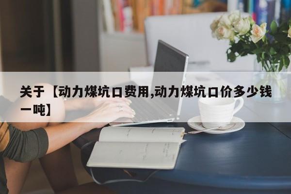 关于【动力煤坑口费用,动力煤坑口价多少钱一吨】