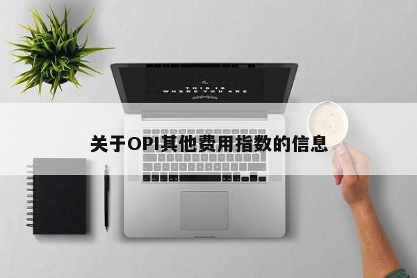 关于OPI其他费用指数的信息