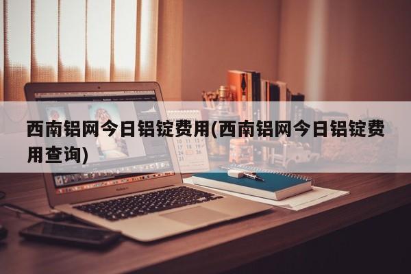 西南铝网今日铝锭费用(西南铝网今日铝锭费用查询)