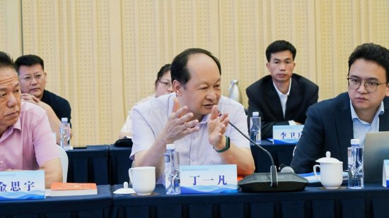 丁一凡：西方经济学存在底层缺陷 中国实践亟需原创经济学理论阐释