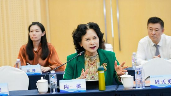 陶一桃：立足改革开放实践 构建适配中国发展的原创经济学体系