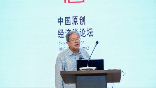 龚刚：留存产业增值壮大内需 构建国货自主流通新生态