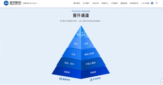 星宇股份劝退应届生处分多人续：当地确认公司有HR总监岗位